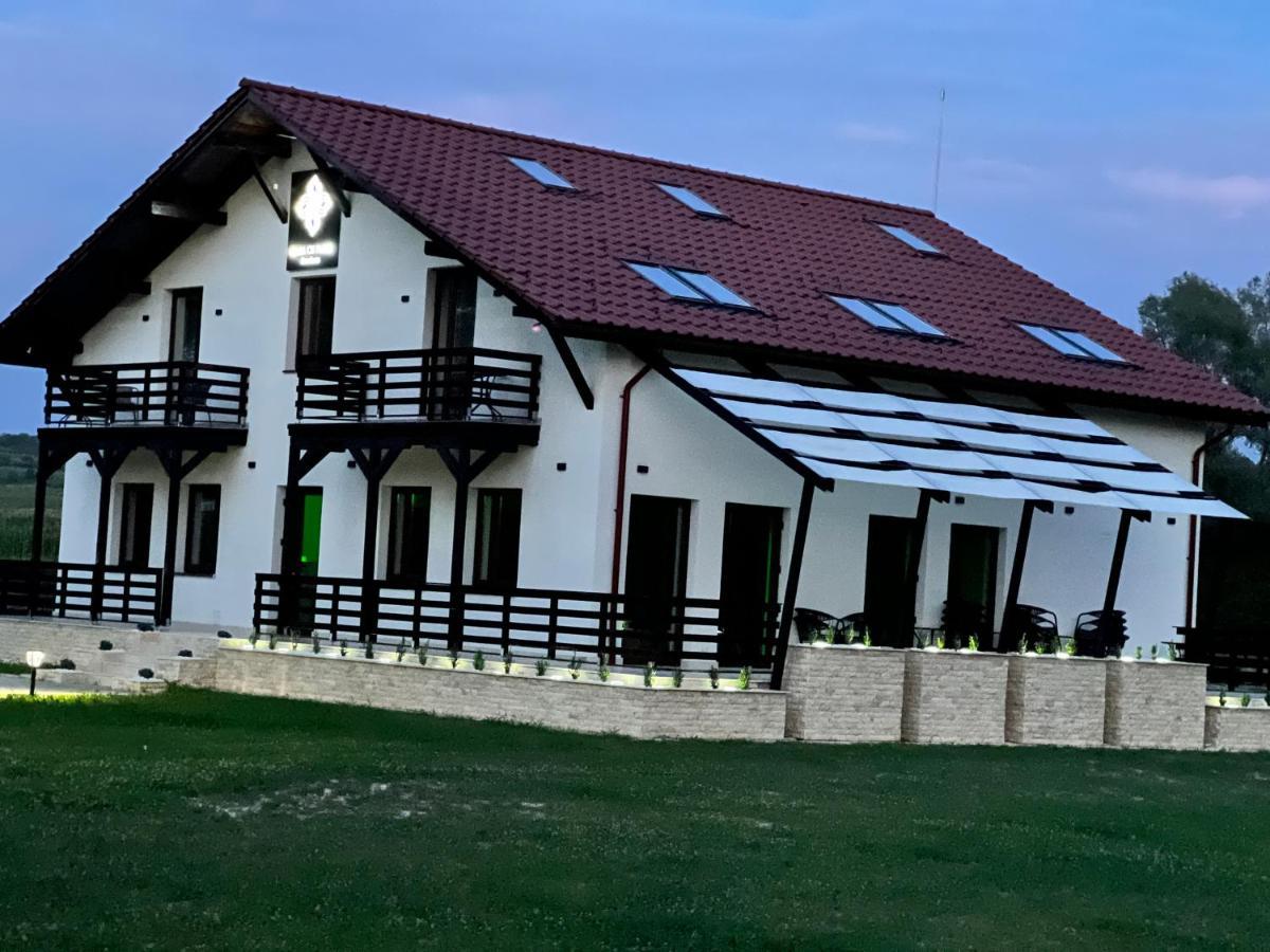 Casa Cu Flori Maramures Бая-Маре Екстер'єр фото