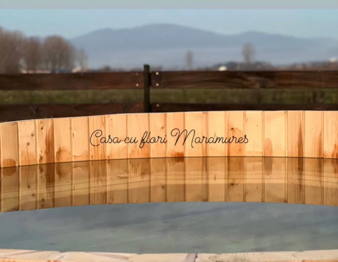 Casa Cu Flori Maramures Бая-Маре Екстер'єр фото