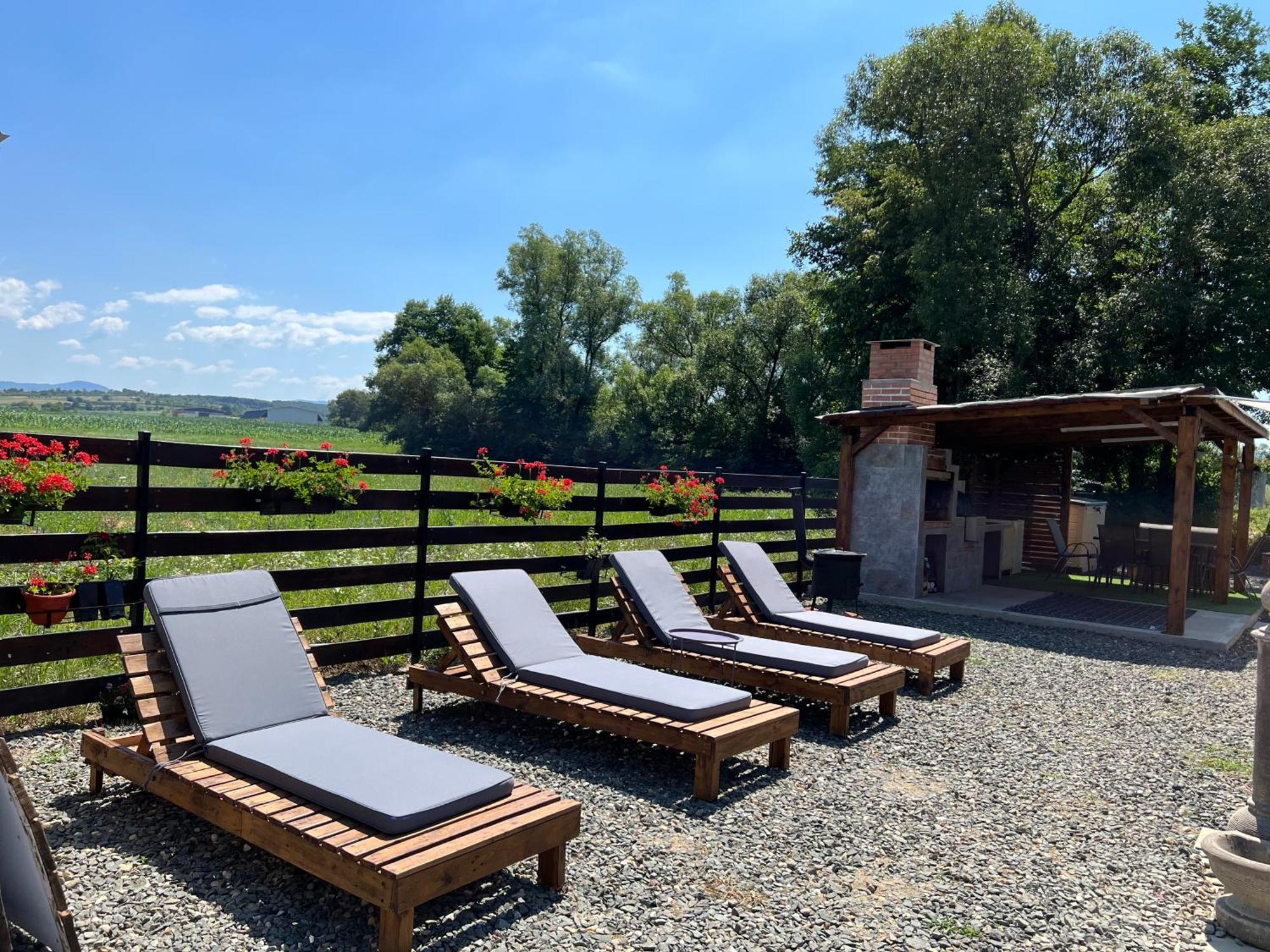 Casa Cu Flori Maramures Бая-Маре Екстер'єр фото