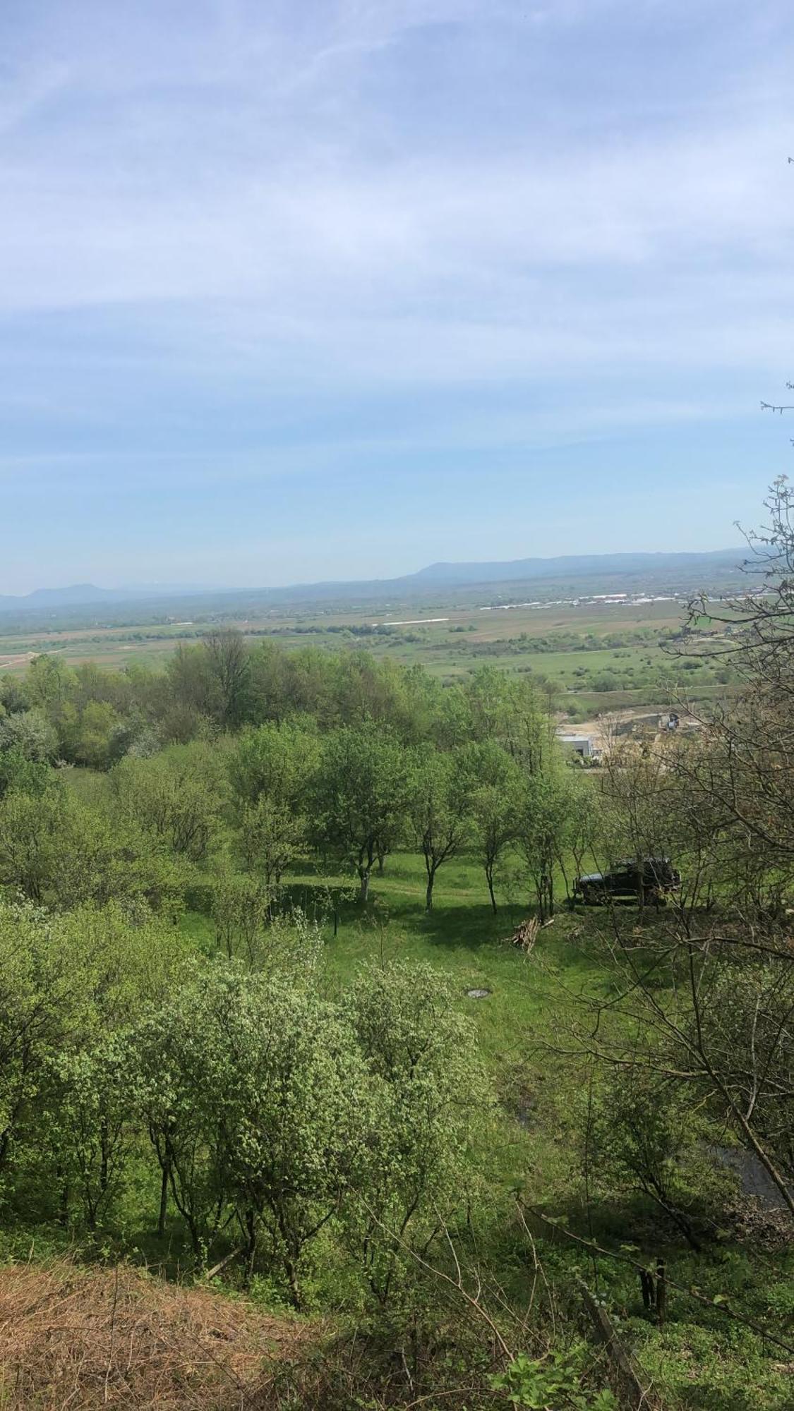 Casa Cu Flori Maramures Бая-Маре Екстер'єр фото